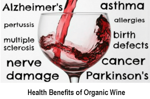 ORGANIC WINE